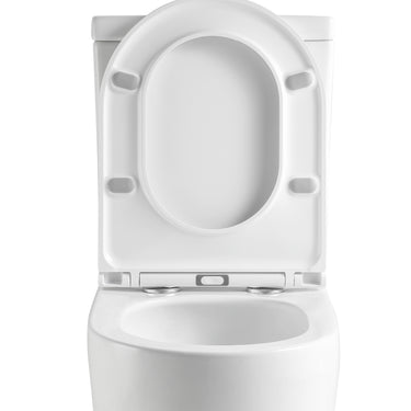 LUKKA | Procida Tornado Rimless Back To Wall Toilet Suite