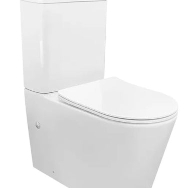 Feanza cyclone Toilet Suite R&T Flush System