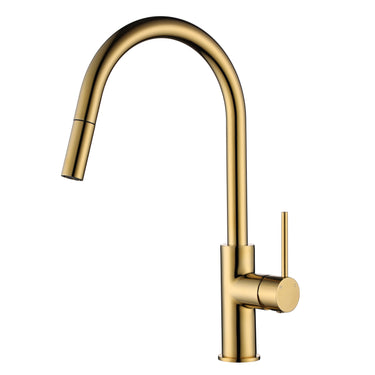 Star Mini | Polished Brass Pull Out Kitchen Mixer Tap