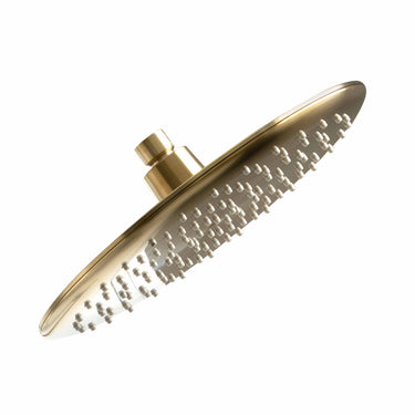 Loui | Brushed Gold Bush Shower Head