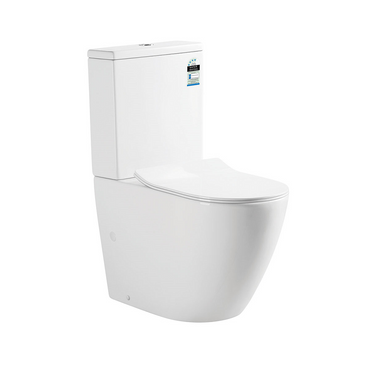 Hani | Rimless R&T Internals Wall Faced Toilet