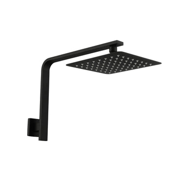 Liberty | Black Gooseneck Shower