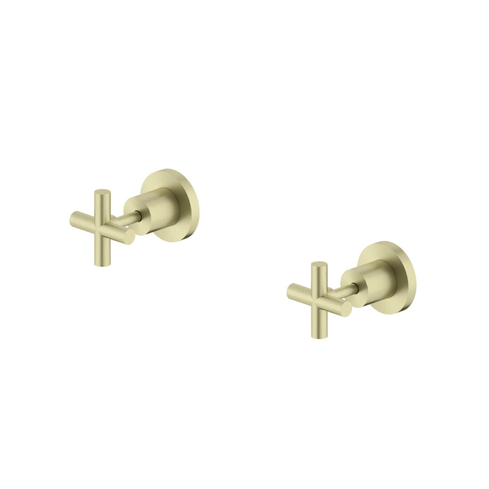 Nero | X Plus Brushed Gold Wall Top Set 1/4 Turn Assembly