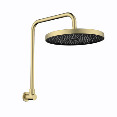 Gabe | Gooseneck Shower Arm and Head